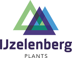logo Ijzelenberg plants